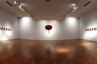 Exhibition Space, Tokyo International Forum